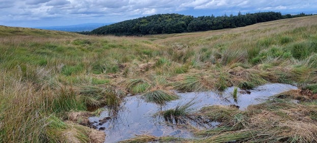 Pools of water forming on the moorland at Lyme, Cheshire, as part of the Riverlands project